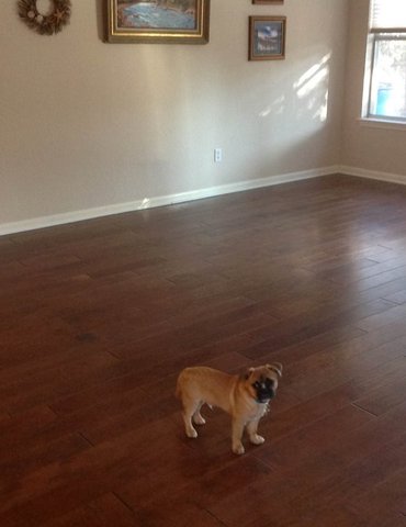 Flooring installation from Butler Floors in the Austin, TX area